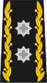 Insigne du grade de divisionnaire de l'armée suisse