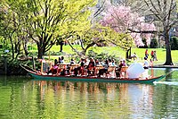 Hattyú hajó a bostoni nyilvános kertben