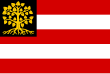 Vlag van de gemeente 's-Hertogenbosch