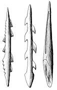 Proyectiles óseos del final del Paleolítico y del Epipaleolítico.