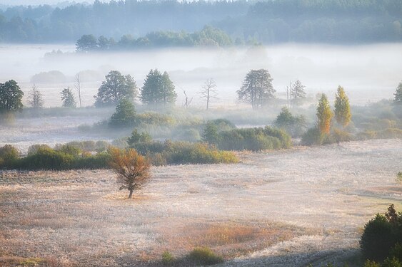 Подих туманного ранку в Седнівському, Чернігівська область Alex Arendar (Олександр Арендар)