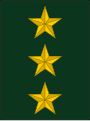 El Salvador (coronel)