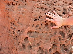 イスラエル、ネゲブ砂漠のティムナ渓谷にあるカンブリア紀の砂岩に開くタフォニ。