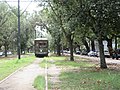 Streetcar in Carrollton Avenue