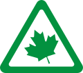 The zielony listek (green leaf) used in Poland for newly qualified drivers. It is however not mandatory to display it on the car.