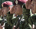 Mexican soldiers saluting