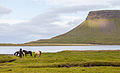 21. Izlandi pónik a Búlandshöfði-hegynél (Izland, Vesturland régió) (javítás)/(csere)