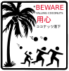 Beware falling coconuts!