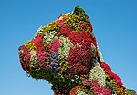 Detalle de Puppy, escultura de Jeff Koons
