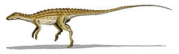A Scutellosaurus lawleri rekonstrukciója