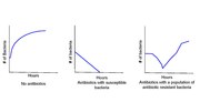 Thumbnail for File:Three antibiotics graphs.pdf