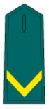 Guàrdia Alumne