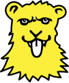 Cap de lleopard