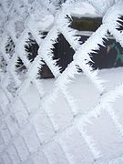 フェンスに付いた霜（樹霜）