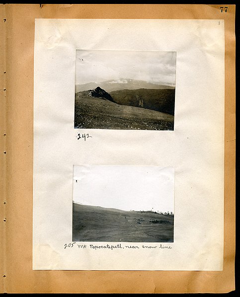 File:Chase album, 1898, 1903, and undated (Page 77) BHL46399459.jpg