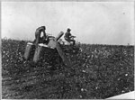 En bomullsplockningsmaskin dragen efter en traktor i Texas cirka 1908.[37]
