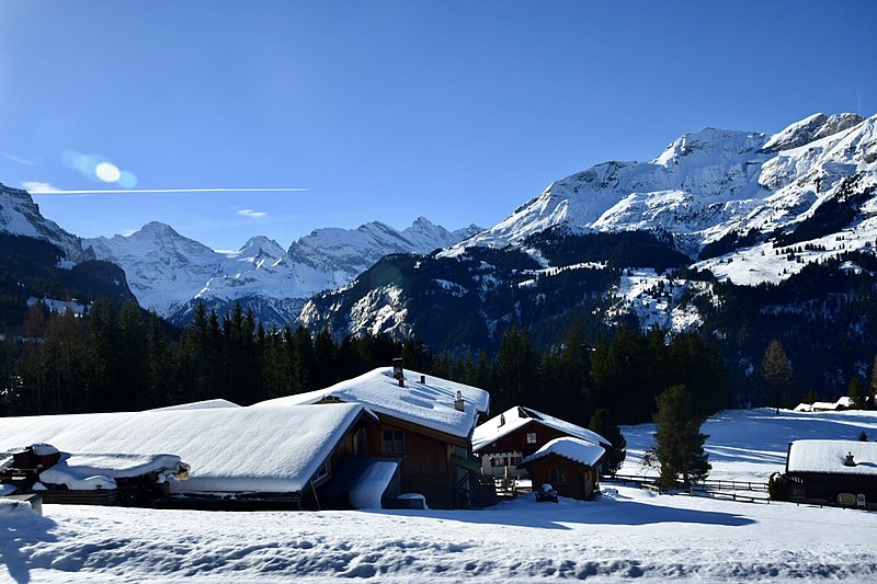File:Jungfraujoch, Bernese Oberland (Ank Kumar, Infosys Limited) 13.jpg