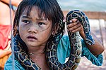 Thumbnail for File:Tonle Sap Siem Reap Cambodia Girl-begging-for-money-with-snake-01.jpg