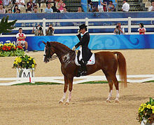 Sárga (gesztenyebarna) fekete ruhás és kalapos lovasával. A lovas stadionban állnak, a lovas a kalapja karimájához nyúl.