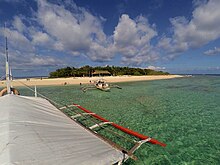 Apo Island beach.jpg