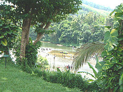 View of the Kelani river