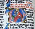 Första Petrusbrevets inledning i The Malmesbury Bible från år 1407, med en närbild på den utsmyckade bokstaven P som första bokstaven i namnet Petrus och med en illustration av Petrus inuti.