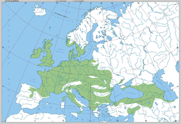 Az elterjedési területe Európában, Boratynski szerint