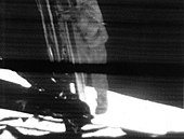 Neil Armstrong betritt den Mond