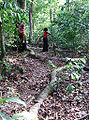ミジケンダのカヤの聖なる森林群（2008年、文化遺産）