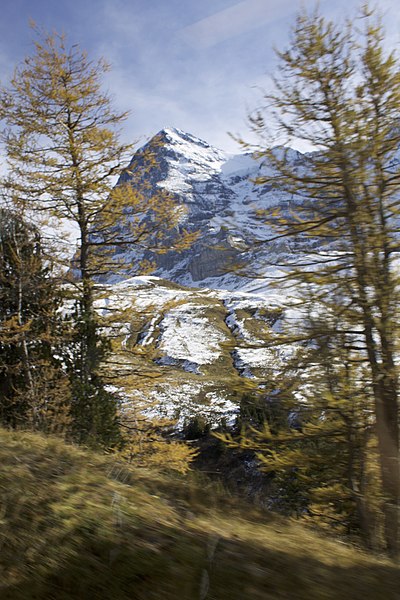 File:Région De Jungfrau - panoramio - Patrick Nouhailler's… (11).jpg