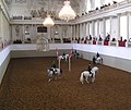 La equitación clásica y la Escuela Española d'Equitación de Viena -  Austria.