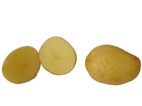 Side view of cut potato
