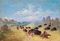 Bizonų medžioklė, XIX a. piešinys