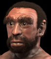 Homo heidelbergensis mwanamume