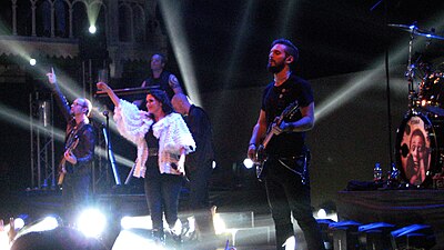 Током концерта у Амстердаму 2011. године