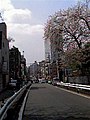 桜新町 - 用賀間の専用軌道跡。現在は東京都道427号瀬田貫井線に転用された。正面が用賀で、高層ビルは玉電車庫用地跡に建設された世田谷ビジネススクエア、SBSタワー。