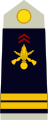 Exército Francês (Lieutenant)
