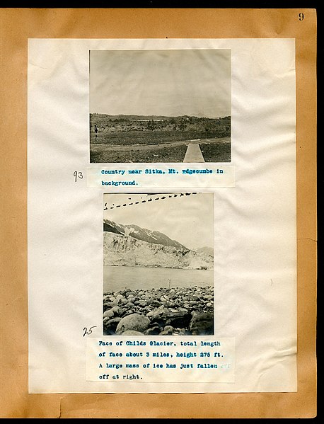 File:Chase album, 1898, 1903, and undated (Page 9) BHL46399507.jpg