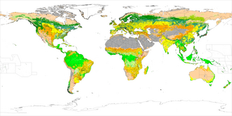 Карта Землі, на якій зображені різні форми ґрунтового покриву різними кольорами
