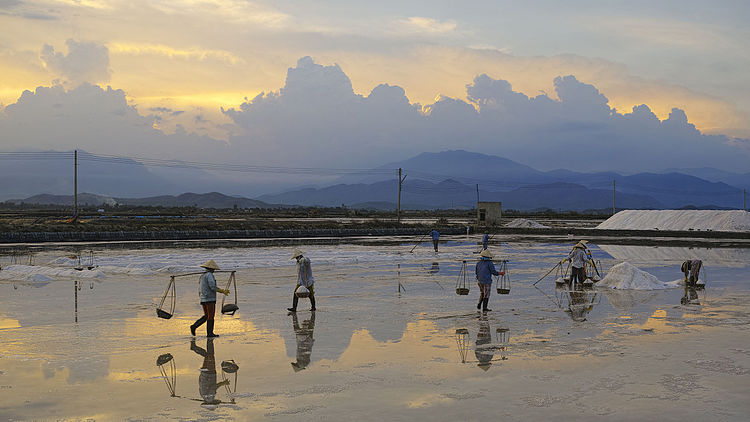 Добыча морской соли в провинции Кханьхоа, Вьетнам