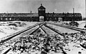 Auschwitz-Birkenau (1945), fotografiert von Stanisław Mucha