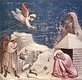Joachimov sen, 1303 - 1305, freska, Cappella degli Scrovegni, Padova