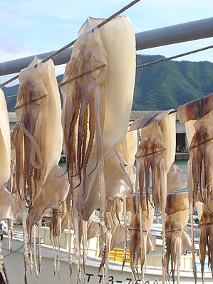 Iwami squid drying