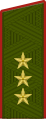 Генерал-полковник (ОФ-8[13]) сухопутних військ Росії з 2010
