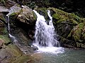 Кам'янецький водоспад