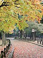3. A Nara park Nara városában, a Vakakusza-hegy lábánál. Japán egyik legrégebbi parkját az 1300-as években alapították (javítás)/(csere)