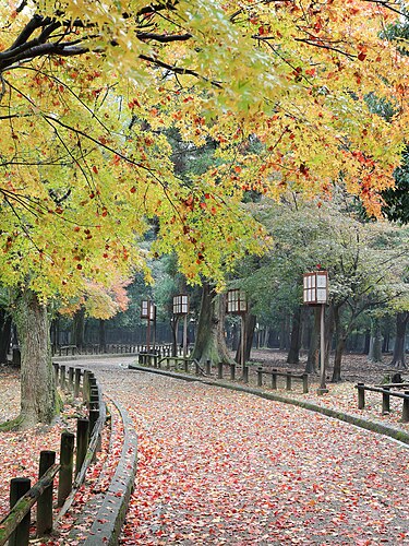 Парк[англ.] Нары, заложенный в 1300-е годы — старейший парк в Японии