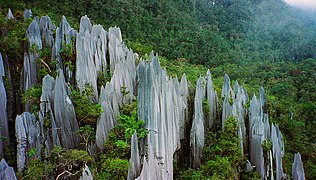 Tiang-tiang bebatuan di Taman Nasional Gunung Mulu