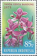 Stamp of Indonesia - 1975 - Colnect 258300 - Tourist - Indonesian Orchids.jpeg