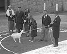 Hexenexperiment auf dem Brocken (1932)